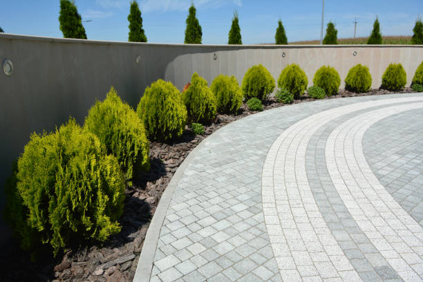 Best Driveway Repair Near Me  in Highlands, CA